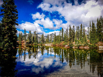 Scenic view of lake by trees against sky