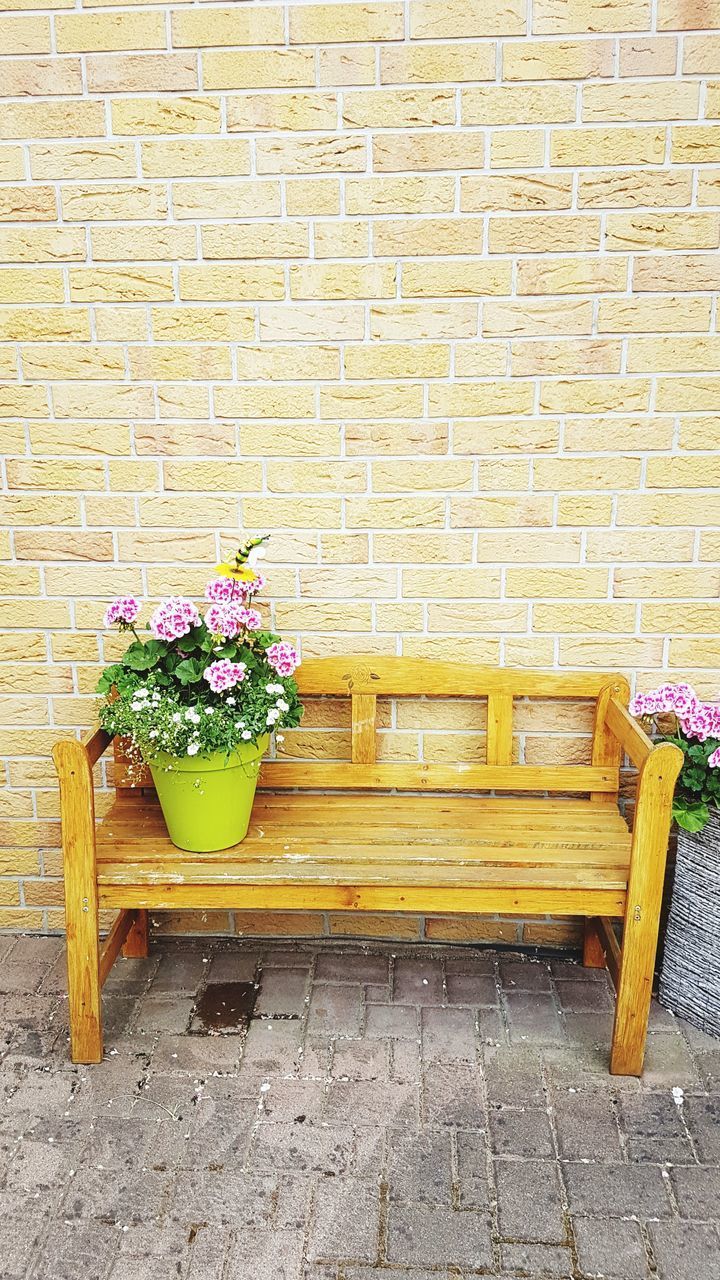 POTTED PLANT AGAINST WALL