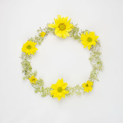 Yellow flowers against white background
