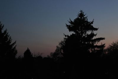 Silhouette trees against sky at night