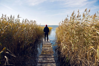 Guy stands on an old pier in the grass by the lake on an autumn day