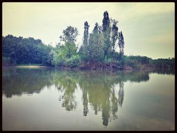 Reflection of trees in calm lake