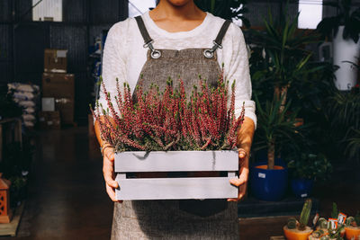 Crop female owner of greenhouse in white blouse and grey apron holding in hands white wooden tray with various heather while standing in orangery