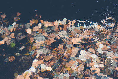 High angle view of coins in fountain