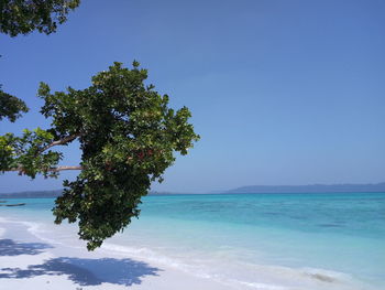 Scenic view of sea against clear blue sky