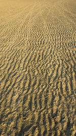 Full frame shot of sand dune