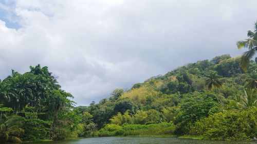 Scenic view of trees against cloudy sky