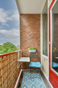 Potted plant on window