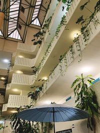 Low angle view of illuminated lights hanging from ceiling in building