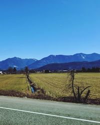 Scenic view of field against clear blue sky