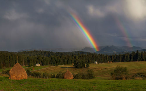 Scenic view of rainbow over field against sky