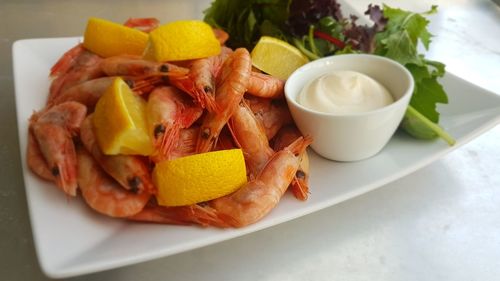 Close-up of meal served in plate