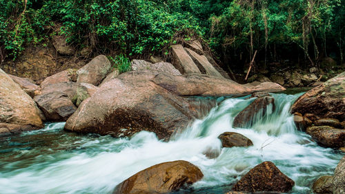 Scenic view of waterfall in forest