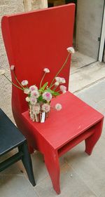 Close-up of red flowers