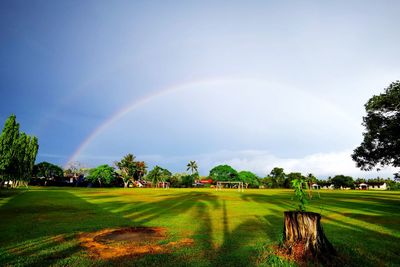 Scenic view of field against rainbow in sky