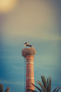 Bird perching on chimney against sky