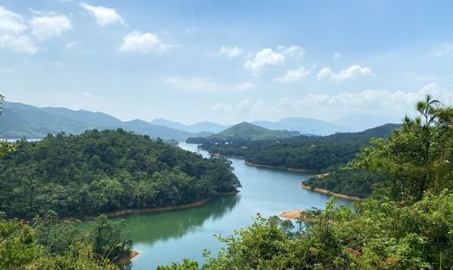 Scenic view of river amidst trees against sky