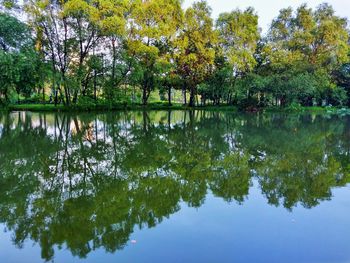 Scenic view of lake by trees against sky