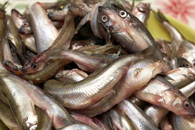 Close-up of fish for sale in market