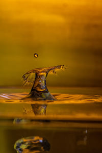 Close-up of water drop on orange surface