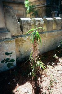 Close-up of stone wall