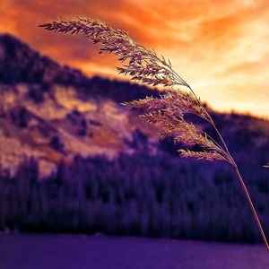 Close-up of water against sky at sunset