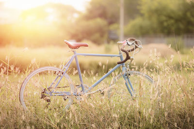 Bicycle on field