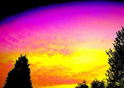 Low angle view of trees against sky at sunset