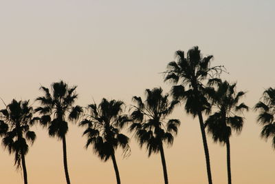 Low angle view of silhouette palm trees against clear sky