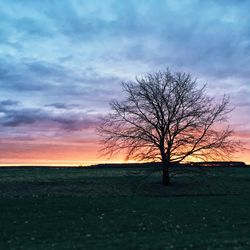 Scenic view of landscape against cloudy sky