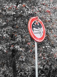 Close-up of arrow sign on road in city