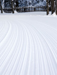 Close-up of snow covered field