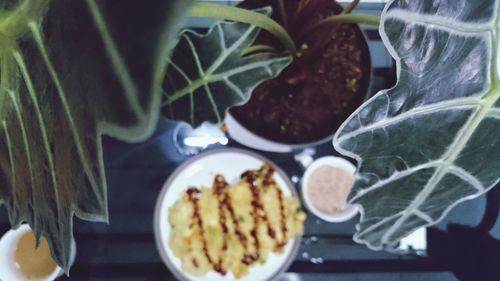 Close-up of breakfast on table