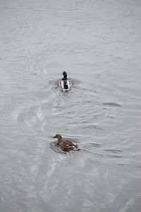 People in swimming pool