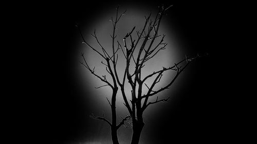 Close-up of silhouette bare tree against sky