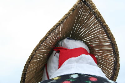 Rear view of person hat against clear sky