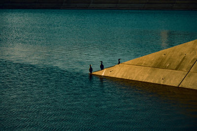 High angle view of man in sea