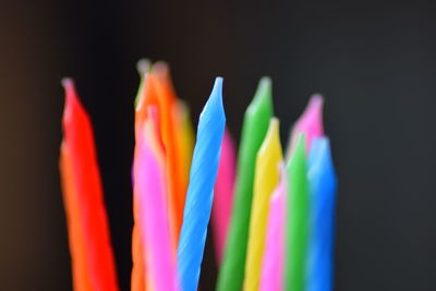 Close-up of multi colored leaves