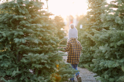 Young boy walking in christmas trees at sunset