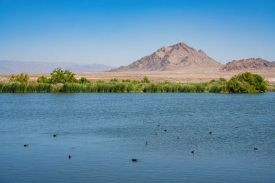 Scenic view of lake against clear blue sky