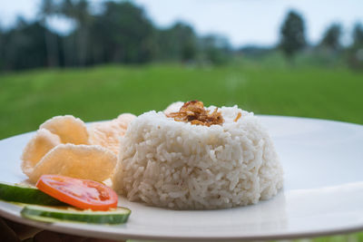 Close-up of food in plate