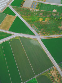 agriculture
