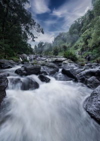 Scenic view of waterfall in forest against sky