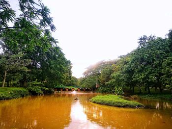 Canal amidst trees against clear sky