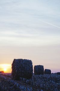 Scenic view of field against sky at sunset