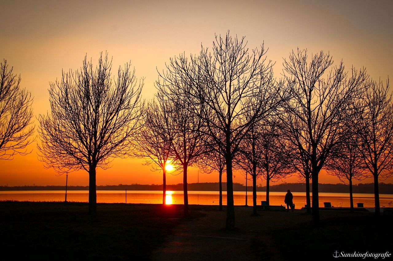 SILHOUETTE TREES BY LAKE AGAINST SKY DURING SUNSET