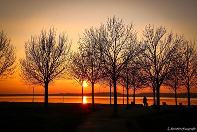 Silhouette bare trees by lake against sky during sunset