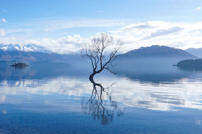 Scenic view of lake by snowcapped mountains against sky