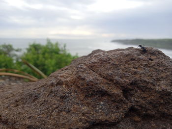 Close-up of rocks by sea against sky