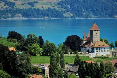 Spiez town and lake